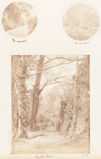 Tilnærmelsen, i skoven, ved søen, 1853-56. af James Knight