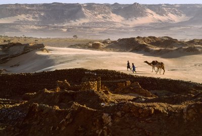 Kamel med saltkaravanemedlemmer krydser et ørkenplateau ved BILMA, NIGER. BILMA, NIGER. af James L Stanfield