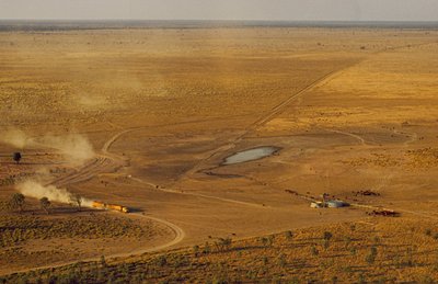 Lastvognstog med kvæg krydser et uvejsomt plateau i outbacken. Vestaustralien, Australien. af James L Stanfield