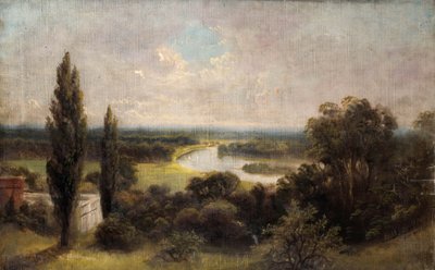 Udsigt ned over skinkemarker fra toppen af Richmond Hill af James Lewis