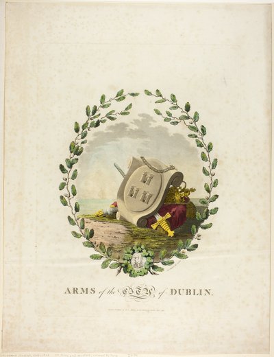 Dublin af James Malton