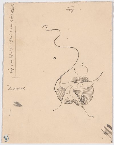 Sommerfugl "Encountered" (recto); Skitse til bagstykke (verso) af James McNeill Whistler