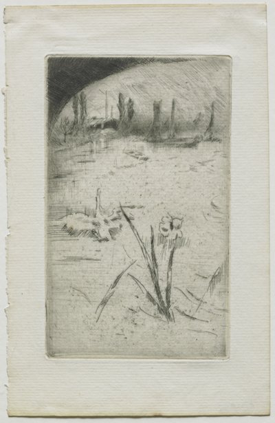 Svane og iris af James McNeill Whistler