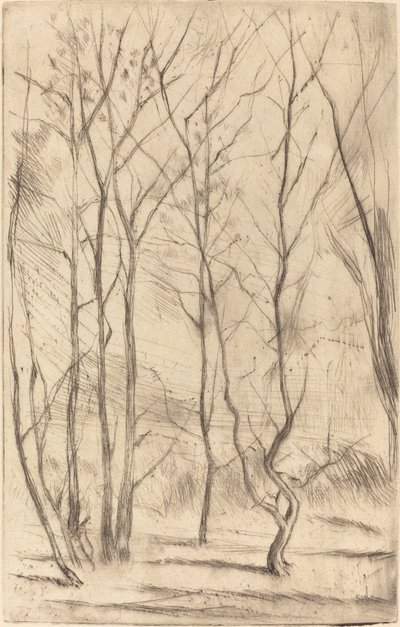 Dæmningsskoven af James Abbott McNeill Whistler