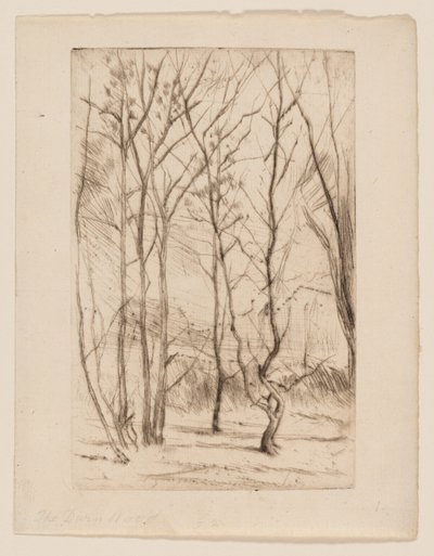 Dæmningsskoven af James Abbott McNeill Whistler
