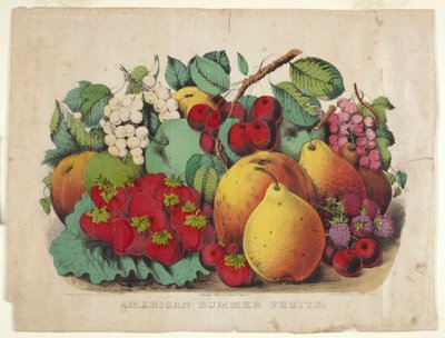 Amerikansk sommerfrugt af James Merritt Ives
