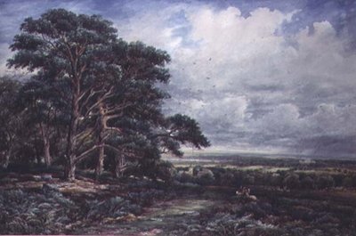 Bradgate Park nær Leicester, akvarel af James Orrock