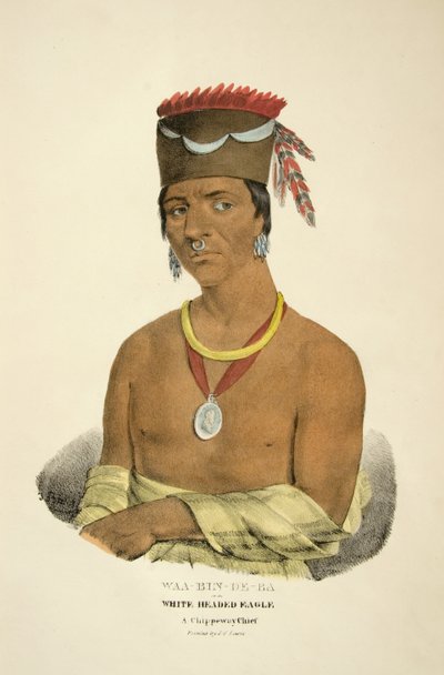 Was-vin-de-ba eller White Headed Eagle af James Otto Lewis
