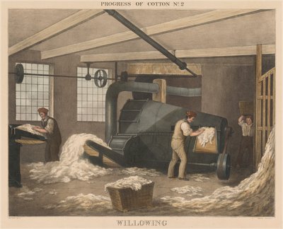 Fremskridt for bomuld: #2 - pilning af James Richard Barfoot