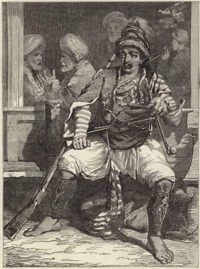 En Bashi-Bazouk af James Robertson