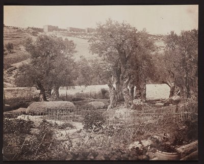 Getsemane [Jerusalem. Oliebjerget] af James Robertson