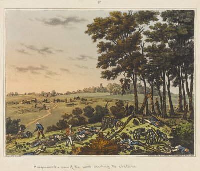 Hougoumont - udsigt over skoven, der omkranser slottet, fra 