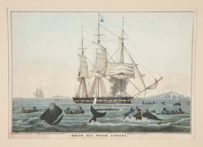 South Sea Whale Fishery af James S. Baillie