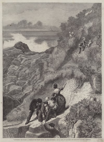 At samle flokkene, en scene på den walisiske kyst af James Sant