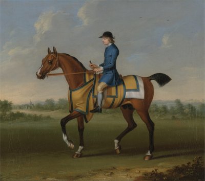 A Bay Racehorse with Jockey Up (olie på lærred) af James Seymour
