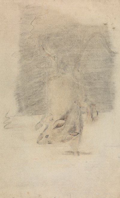 En mus af James Sowerby