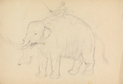 Elefant med rytter af James Sowerby