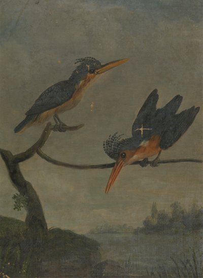 To isfugle ved siden af en sø af James Sowerby