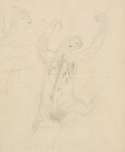 To dovendyr af James Sowerby