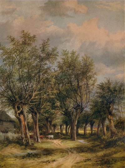 En bane nær Norwich, c1837 af James Stark