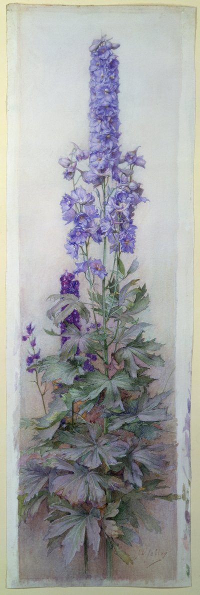 Delphiniums af James Valentine Jelley