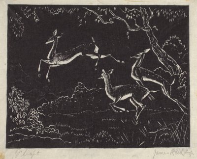 Flight (træbloktryk) af James W. Reid