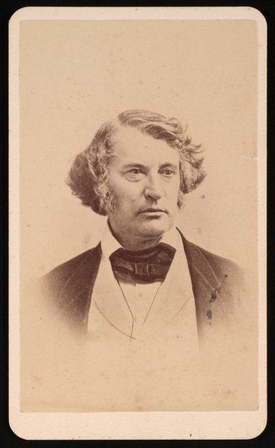Portræt af Charles Sumner 1811-1874, før 1874. af James Wallace Black