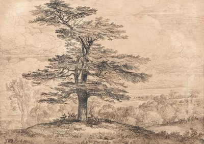 Et cedertræ på en forhøjning med en flok hjorte, der er grupperet under dets skygge af James Ward