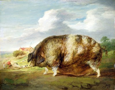 A Gloucestershire Old Spot (olie på panel) af James Ward