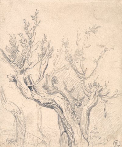 Et knudret træ af James Ward