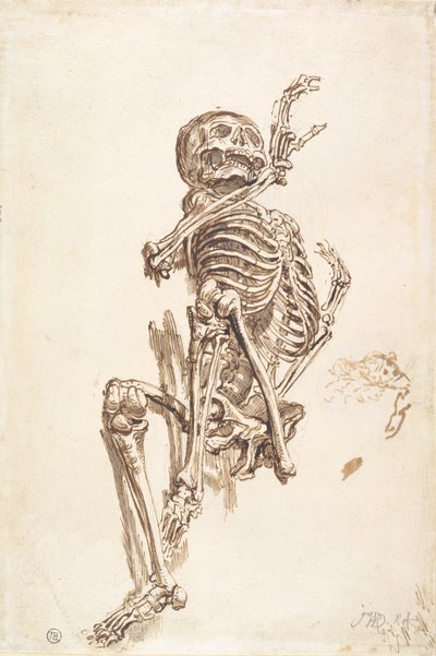 Et menneskeligt skelet (pen og blækvask og blyant på papir) (recto) af James Ward