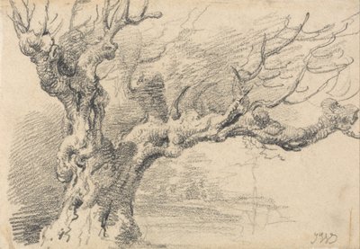Et gammelt egetræ af James Ward