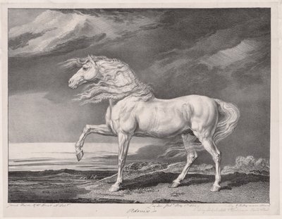 Fjorten fejrede heste: Adonis, 1824. af James Ward