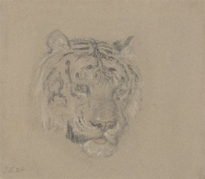 Hovedet af en tiger af James Ward