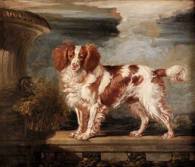 Portræt af Dash, en yndlings spaniel, ejendommen til Lady Frances Vane-Tempest af James Ward