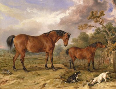 Portræt af Reformer, Blucher, Tory og Crib, Ejendommen af Rowland Alston, Esq., M.P. [1836, Royal Academy of Arts, London, udstillingskatalog] af James Ward