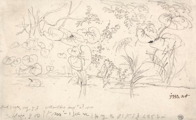 Studier af planter, 2. august 1815 af James Ward