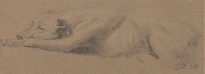 Studie af en sovende hund af James Ward