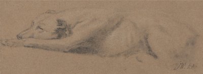 Studie af en sovende hund af James Ward