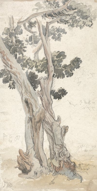 Studie af et træ af James Ward
