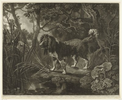 Spaniel ved havnefronten ser en and flyve væk af James Watson (prentmaker)