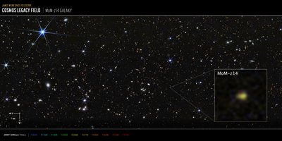 COSMOS-feltet: MoM-z14-galaksen (billede taget med NIRCam) af James Webb Space Telescope (NASA)
