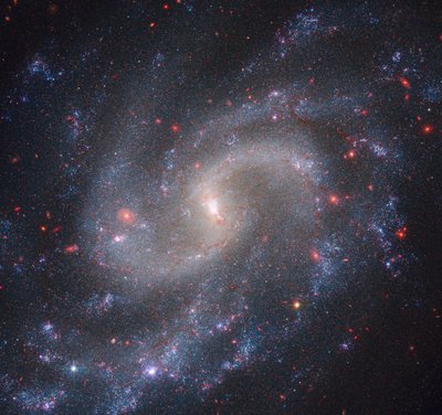 NGC 5584 (Webb NIRCam + Hubble WFC3) af James Webb Space Telescope (NASA)