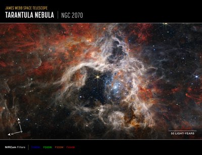 Tarantula Nebula (NIRCam Compass Image) af James Webb Space Telescope (NASA)