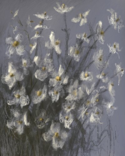 Drømmende hvide blomster af James Zamora