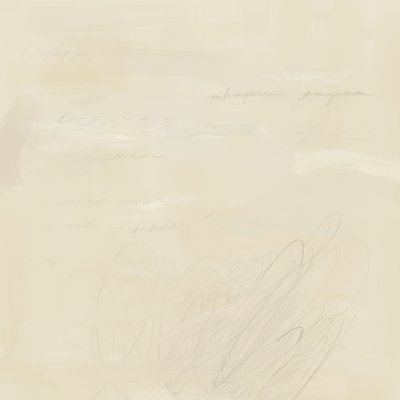 Bleg abstrakt skrift af James Zamora