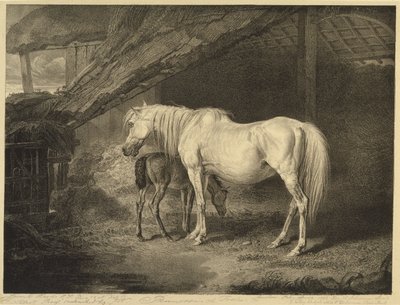 Primrose og Føl, fra Celebrated Horses, et sæt af fjorten væddeløbstryk udgivet af kunstneren, 1823-24 af James after Ward