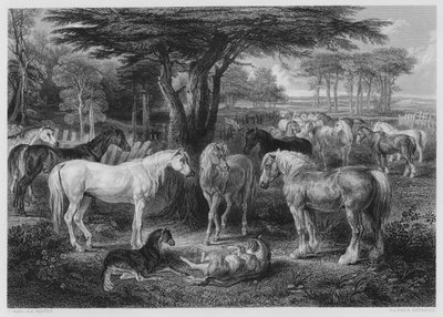The Council of Horses, fra billedet i Vernon Gallery af James after Ward