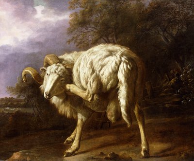 En vædder i et skovklædt landskab, af Jan Baptist Weenix