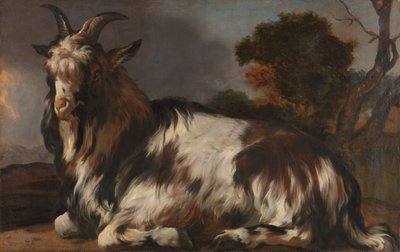 Geden ligger ned af Jan Baptist Weenix